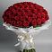 Букет 101 Красная роза Блэк Мэджик в Селты