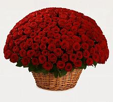 Премиум букет из: Розы в Селты