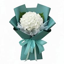Букет цветов из:  Гортензия в Селты